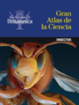 cover image of Insectos